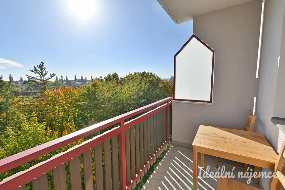 Fotka 13 z 19